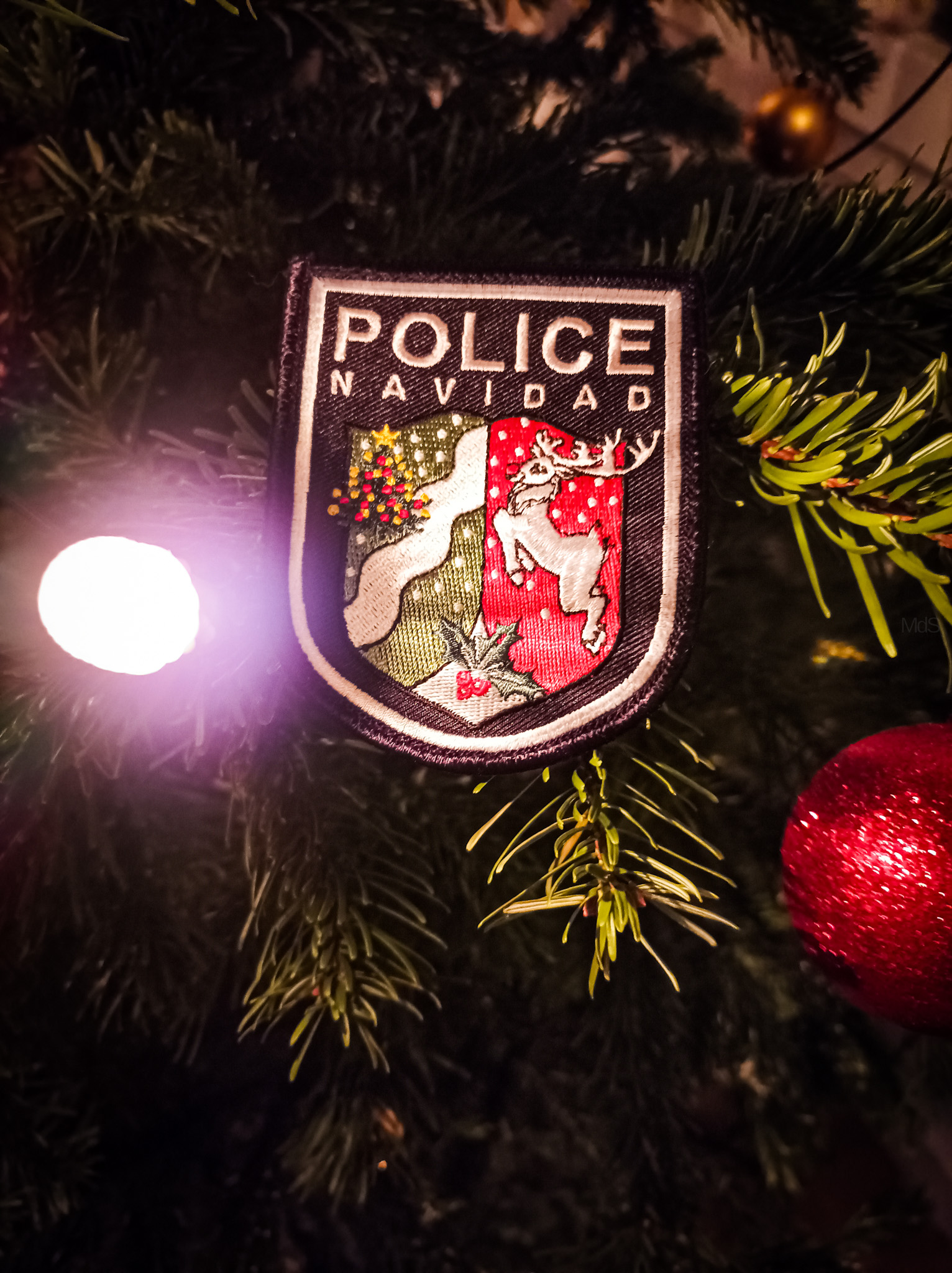 PoliceNavidad.jpg